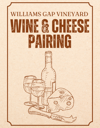 Cheese and Cheers: A Local Wine and Cheese Tasting Experience
